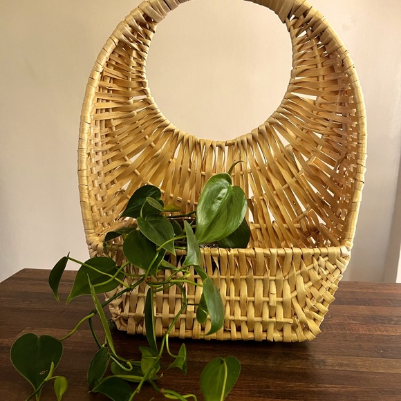 Other - Hanging plant basket